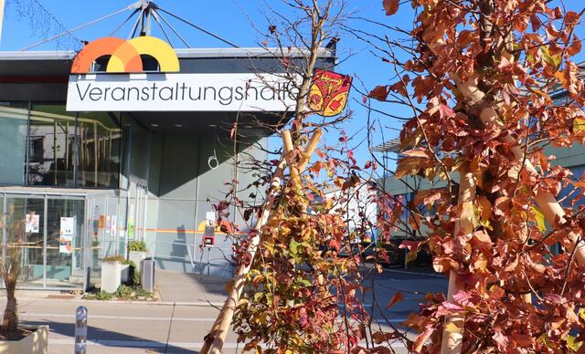 Zwei neu gepflanzte Eisenholzbäume sorgen mit der Konstruktion eines Blätterdachs am Pfarrplatz für natürlichen Schatten im Sommer | Foto: Edith Ertl