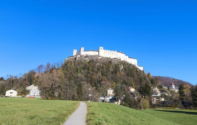 Krauthügel mit Blick zur Festung  | Foto: Martina Laserer 