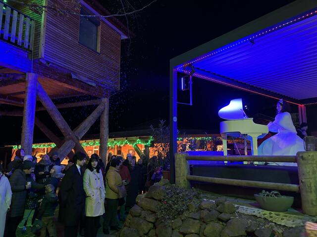 Roswitha Fauster verzauberte die geladenen Gäste als Eisprinzessin am Klavier. | Foto: MeinBezirk