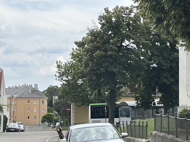 Foto: Alexandra Goll