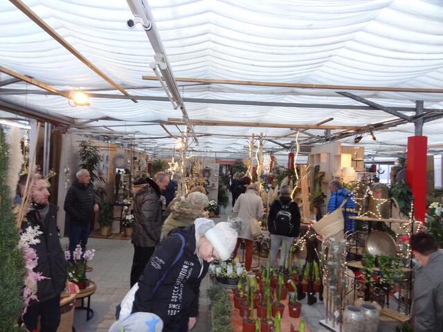 Ein stimmungsvoller Auftakt in die Adventszeit in der Blumenwelt Norz Tichoff!
 | Foto: Norz