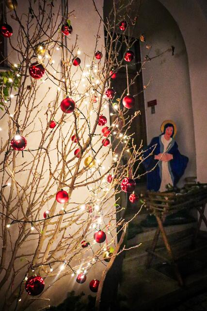 Foto: Alejandra Ortiz