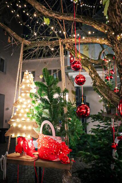 Foto: Alejandra Ortiz