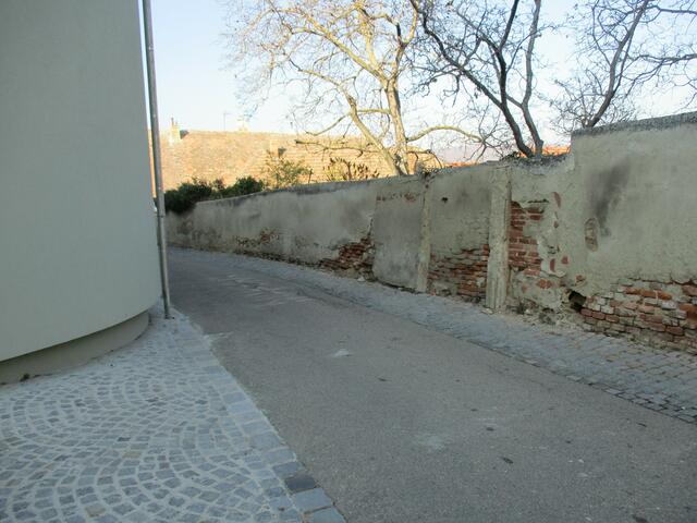 Foto: Alexandra Goll