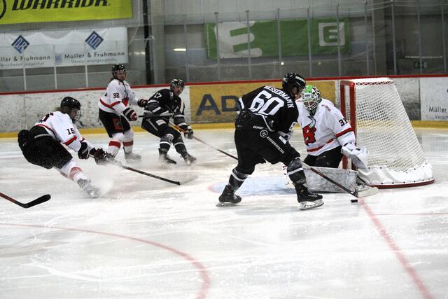 Wassermann und Co. feierten einen 8:2-Heimsieg. | Foto: LE Kings