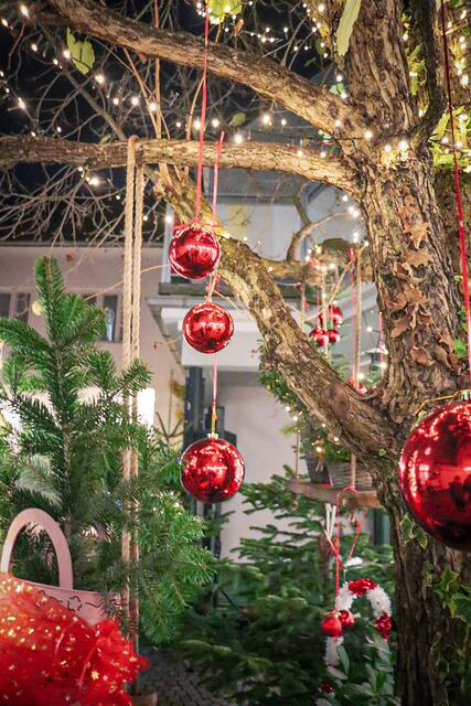 Viele Besucherinnen und Besucher äußerten sich begeistert über die liebevolle Gestaltung des Marktes und die herzliche Atmosphäre, die diesen Event so besonders macht.
Ein gelungener Abschluss des Mühlenadvents. | Foto: Alejandra Ortiz