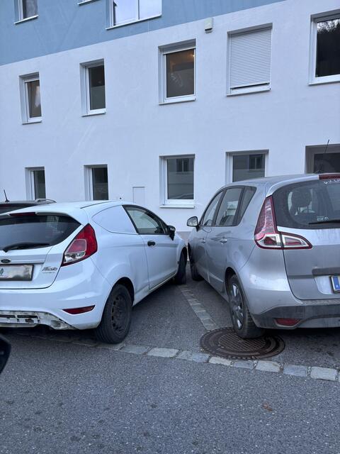 Kunstparker in Edlitz gesichtet. | Foto: Name d. Fotografen d. Red. bekannt