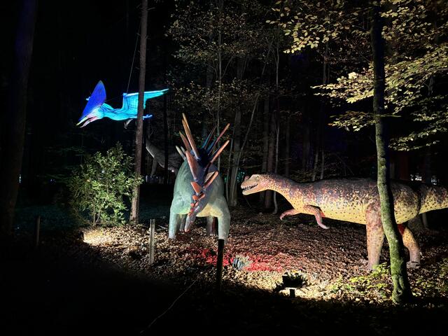 Der Styrassic Park in Bad Gleichenberg entführt nachts in die Welt der Dinosaurier. | Foto: MeinBezirk