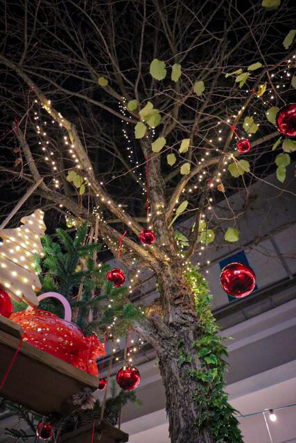 Foto: Alejandra Ortiz