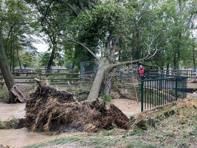 In Laxenburg  | Foto: Christian Blei