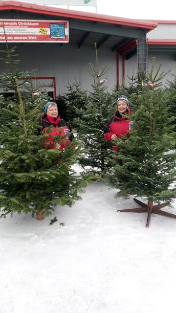 Christbäume vom Reingruber aus Vorderweißenbach kann man sich bei der Firma Schweitzer in Rohrbach-Berg kaufen.  | Foto: Reingruber