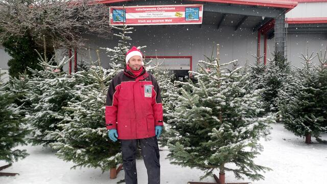 Walter Reingruber verkauft seine Christbäume in Vorderweißenbach und Rohrbach-Berg.  | Foto: Reingruber