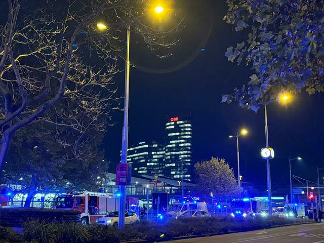 Foto: Luca Arztmann/MeinBezirk