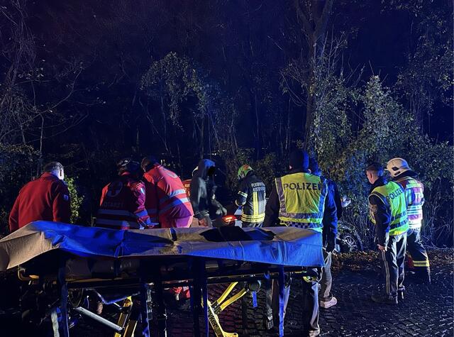 Eine Person musste vom Notarzt versorgt werden. | Foto: FF Klosterneuburg