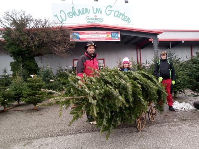 Walter Reingruber's Tannenbäume sind in Vorderweißenbach gewachsen.  | Foto: Reingruber
