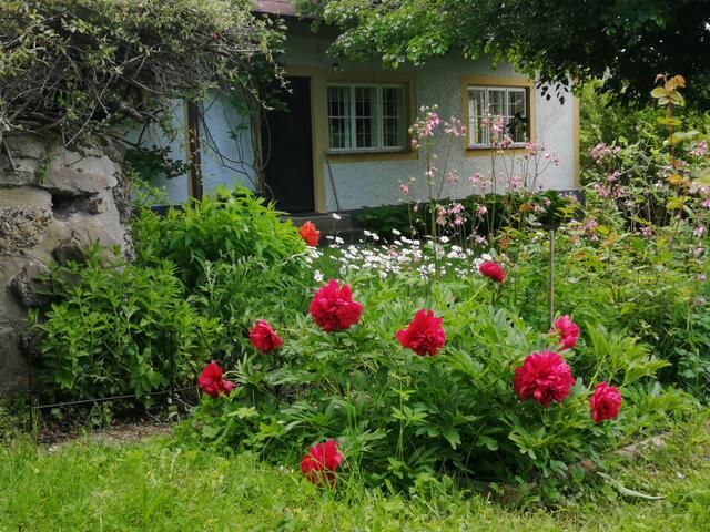 Das Ferienhaus Reikerstorfer befindet sich unmittelbar in der Natur – hier ist Ruhe garantiert. | Foto: Reikerstorfer