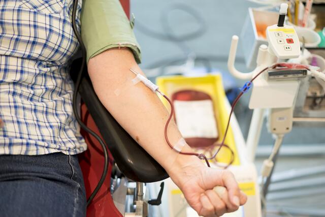 Jeder Mann darf pro Jahr zwei Liter Blut spenden, jede Frau 1,5 Liter jährlich. | Foto: ÖRK/Helmut Mitter