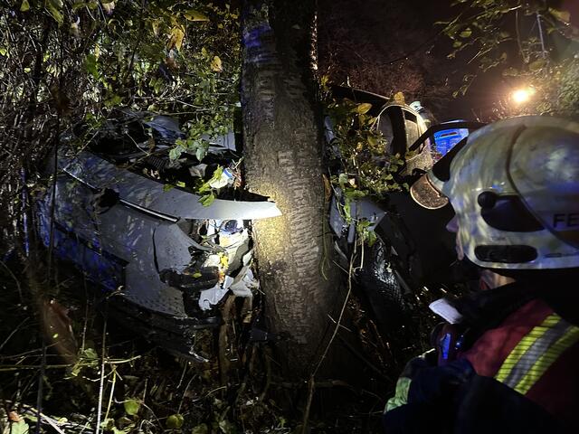 Der E-Pkw verunfallte am 18. November auf der Höhenstraße. | Foto: FF Klosterneuburg