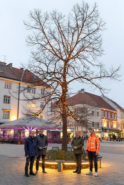 Horst Cervinka (Firma eww), Thomas Pils (Wirtschaftshof), Stadtrat LAbg. Franz Dinhobl und Elektriker Mika Wintersberger (Bauhof). | Foto: Stadt Wiener Neustadt/Weller