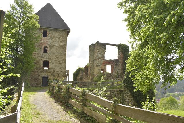 Die Burgruine Ligist ist ein Wahrzeichen des Schilchermarktes. | Foto: Cescutti