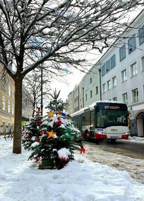 An den Samstagen im Advent ist der Citybus Braunau auf allen Linien kostenlos. | Foto: Stadt Braunau