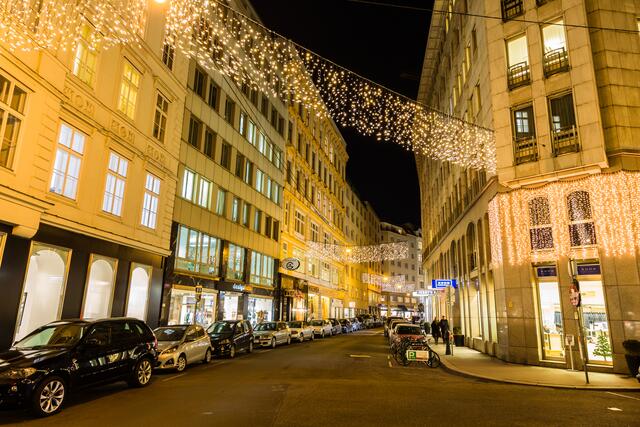 (Archiv) | Foto: Christian Steinbrenner/ WKÖ 