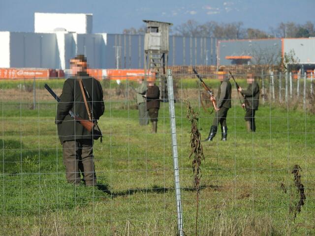 Die Jagd fand zwischen Gewerbegebiet und Autobahn A9 statt. | Foto: VGT.at
