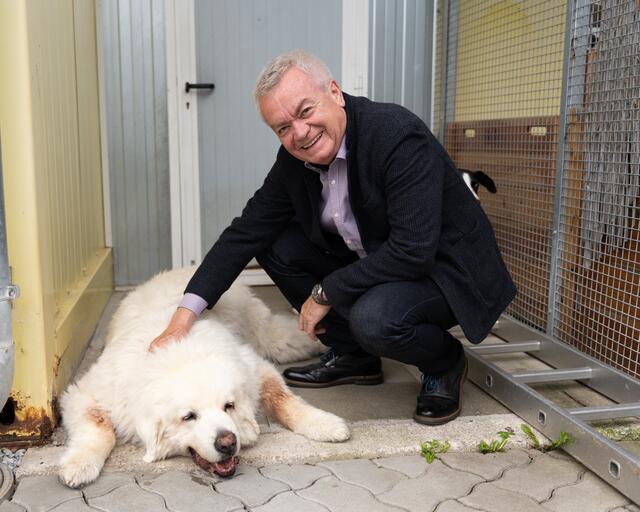 "Unsere steirischen Tierschützerinnen und Tierschützer leisten tagtäglich wichtige Arbeit für das Wohl der Tiere", sagt Tierschutzreferent und Landeshauptmann-Stellvertreter Anton Lang. | Foto: Land Steiermark