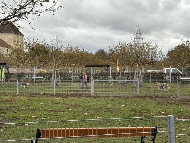 Die Hunde sollen mit einem Holzzaun von den Feldhamstern ferngehalten werden.  | Foto: Luca Arztmann/MeinBezirk