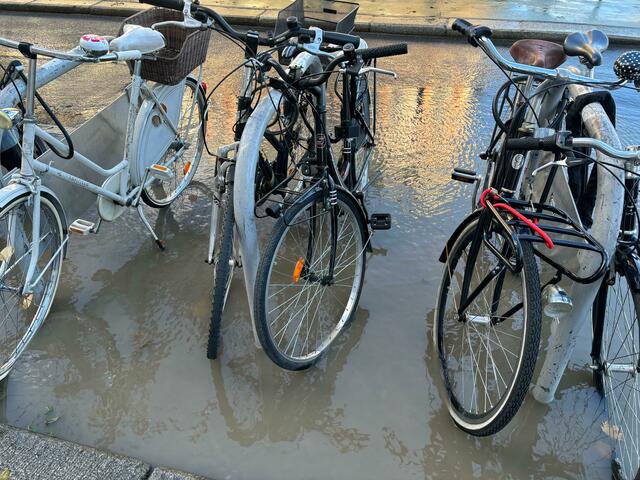 Foto: Fabian Franz/MeinBezirk Wien