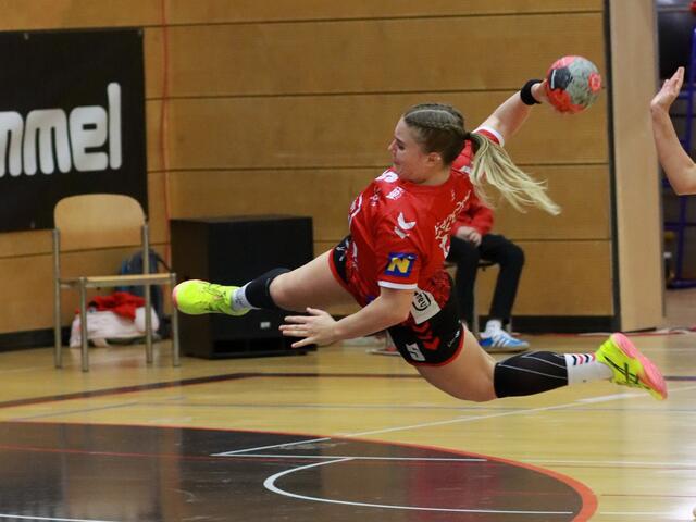 Wie im Flug, sichern sich die Tullner Handball Asse wieder einen Platz und klettern auf der Leiter weiter nach oben. | Foto: Patrick Grandegger