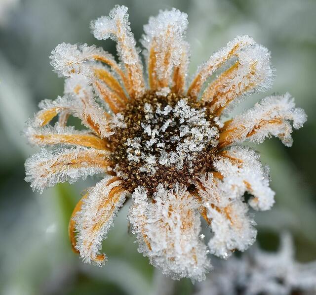 Jetzt heißt es: warm anziehen. Die Temperaturen gleichen sich der Jahreszeit nun an. In den Nächten und frühen Morgenstunden ist es frostig. | Foto: Anna Aldrian