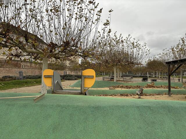 Die Kinder auf dem angrenzenden Spielplatz seien laut Thomas Proksch nicht in Gefahr gebissen zu werden.  | Foto: Luca Arztmann/MeinBezirk