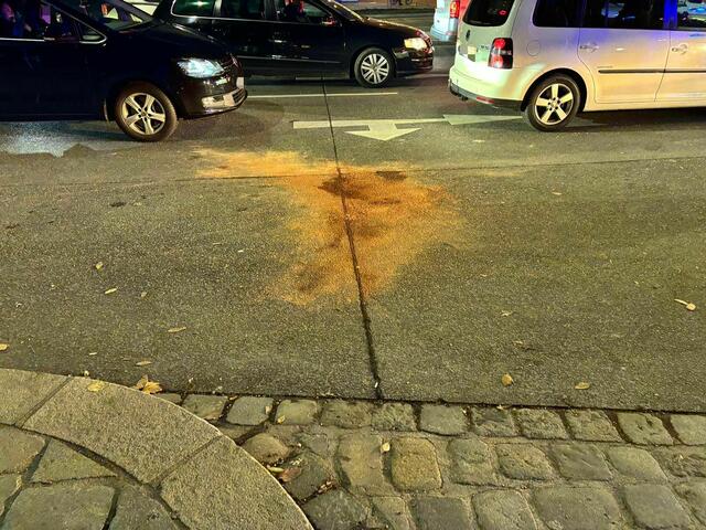 Auch Bindemittel gegen ausgetretene Fahrzeugflüssigkeit kamen zum Einsatz. | Foto: Luca Arztmann/MeinBezirk Wien