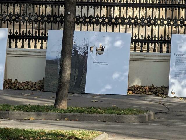 Foto: Fabian Franz/MeinBezirk