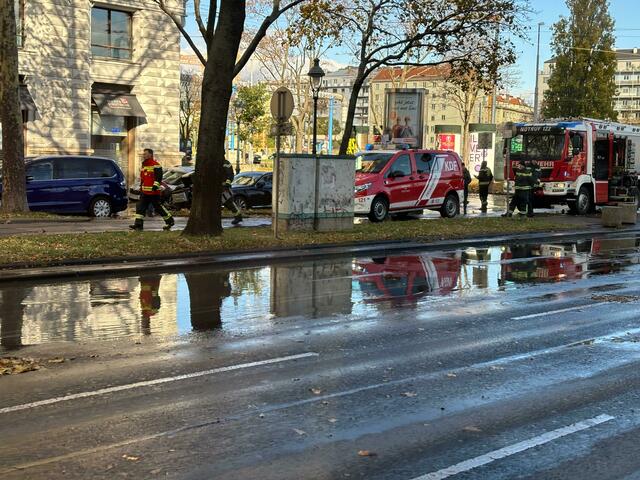 Foto: Fabian Franz/MeinBezirk Wien