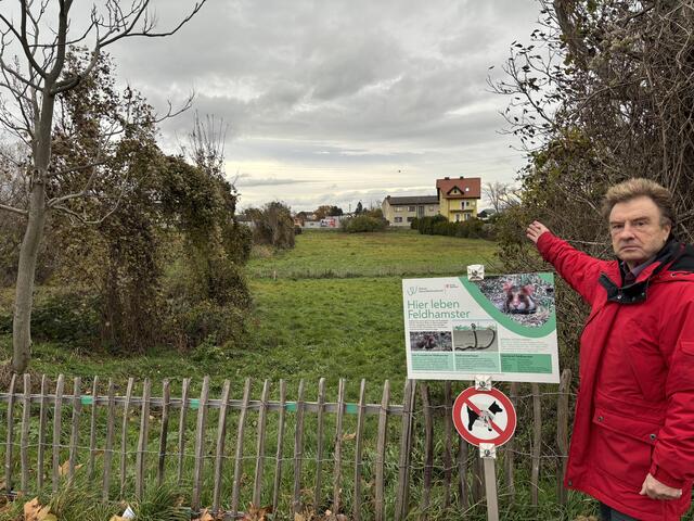 Leo Prochazka sorgt sich um Schäden für die Gärtner in der Umgebung.  | Foto: Luca Arztmann/MeinBezirk