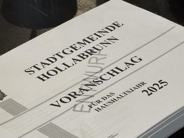 Keine rosigen Zeiten im Voranschlag der Stadtgemeinde Hollabrunn - politisch prodelt es gewaltig. | Foto: Alexandra Goll