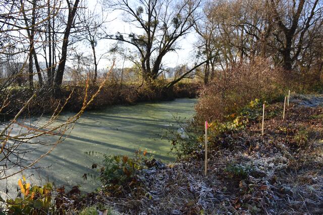 Foto: Waltraud Fischer