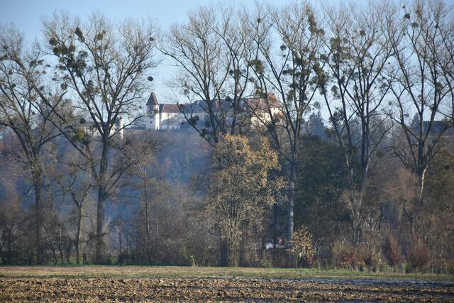 Foto: Waltraud Fischer