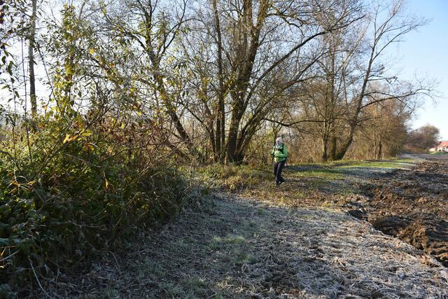 Foto: Waltraud Fischer