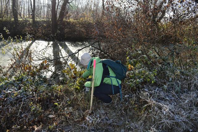 Foto: Waltraud Fischer