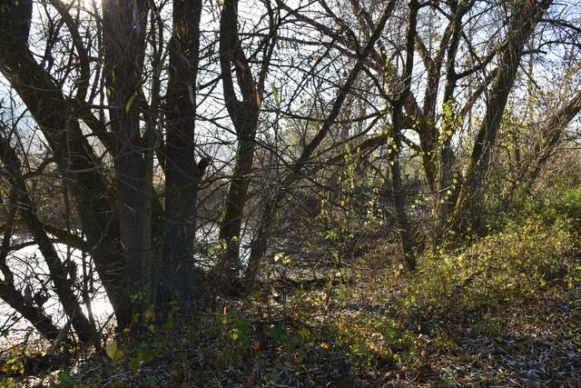 Foto: Waltraud Fischer