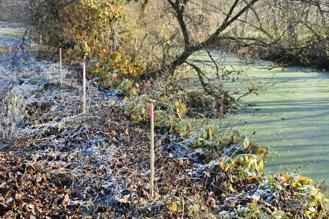 Foto: Waltraud Fischer