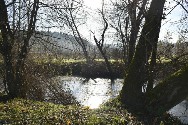 Foto: Waltraud Fischer