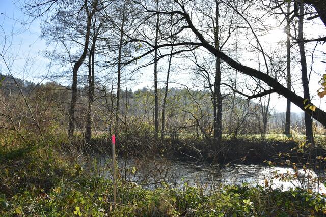 Foto: Waltraud Fischer