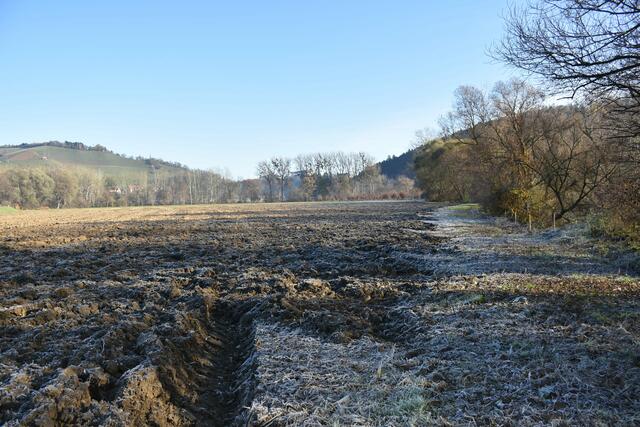 Foto: Waltraud Fischer