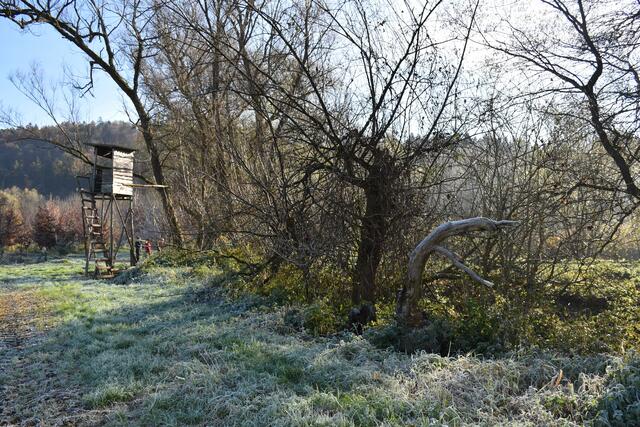 Foto: Waltraud Fischer