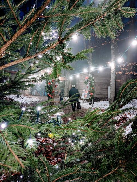 Waldweihnacht in Henndorf | Foto: TVB Henndorf