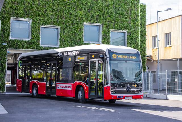 Elektrobusse wie dieser könnte in Zukunft in Rothneusiedl gewartet werden. | Foto: Wiener Linien / Alexandra Gritsevskaja